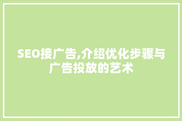 SEO接广告,介绍优化步骤与广告投放的艺术 云服务