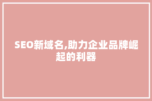 SEO新域名,助力企业品牌崛起的利器