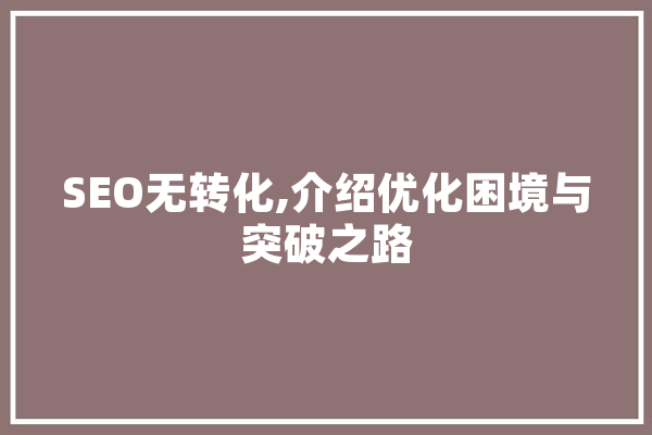 SEO无转化,介绍优化困境与突破之路 智能助手