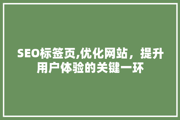SEO标签页,优化网站，提升用户体验的关键一环