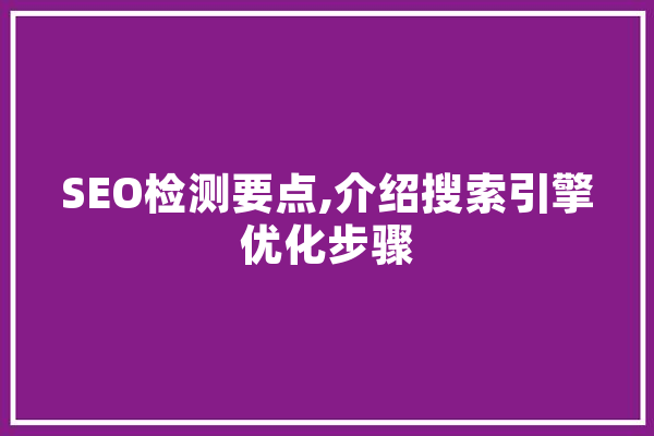 SEO检测要点,介绍搜索引擎优化步骤