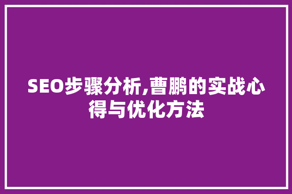 SEO步骤分析,曹鹏的实战心得与优化方法