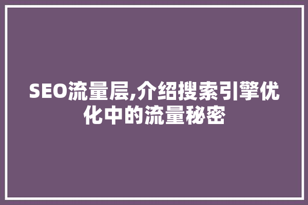SEO流量层,介绍搜索引擎优化中的流量秘密