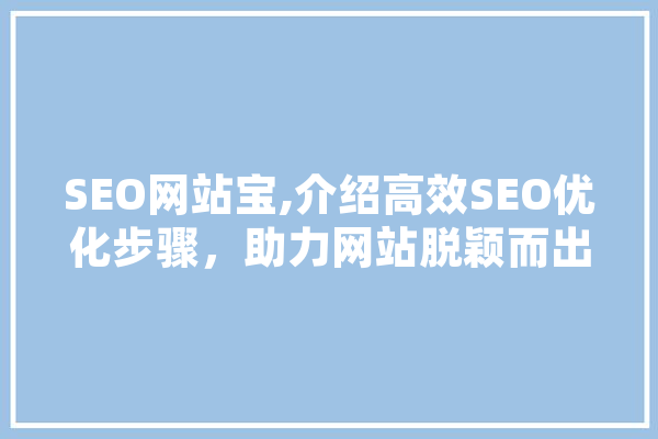 SEO网站宝,介绍高效SEO优化步骤，助力网站脱颖而出