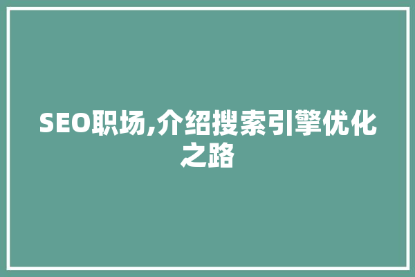 SEO职场,介绍搜索引擎优化之路 计算机