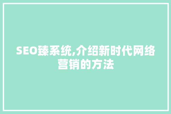 SEO臻系统,介绍新时代网络营销的方法