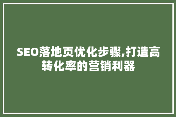 SEO落地页优化步骤,打造高转化率的营销利器