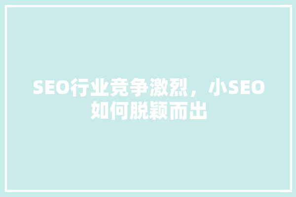 SEO行业竞争激烈，小SEO如何脱颖而出