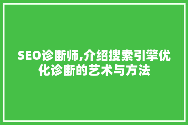 SEO诊断师,介绍搜索引擎优化诊断的艺术与方法 文字写作