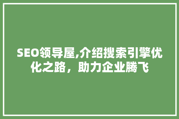 SEO领导屋,介绍搜索引擎优化之路，助力企业腾飞 绘影字幕