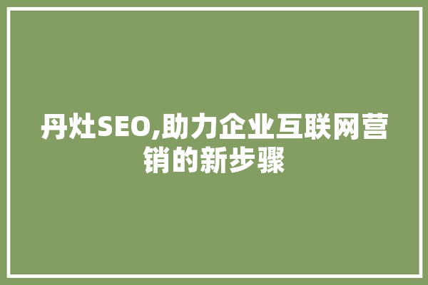 丹灶SEO,助力企业互联网营销的新步骤 云服务