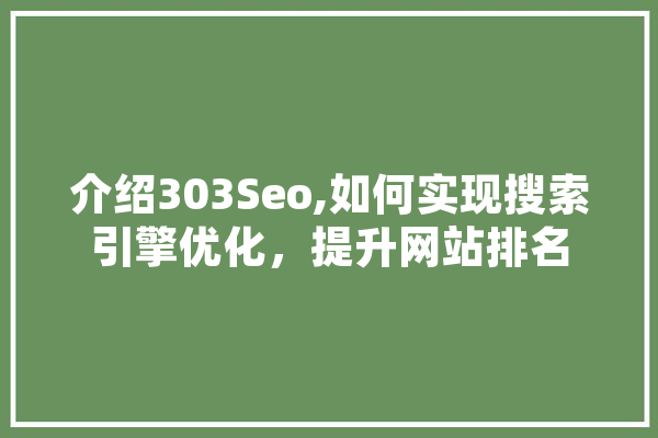 介绍303Seo,如何实现搜索引擎优化，提升网站排名