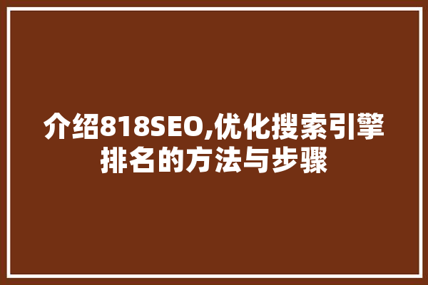 介绍818SEO,优化搜索引擎排名的方法与步骤 智能助手