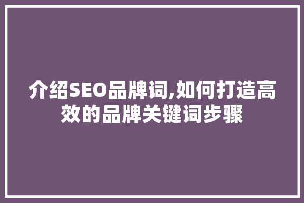 介绍SEO品牌词,如何打造高效的品牌关键词步骤