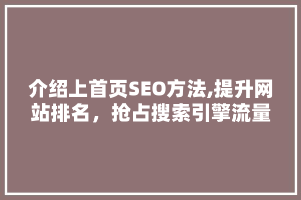 介绍上首页SEO方法,提升网站排名，抢占搜索引擎流量高地 智能写作