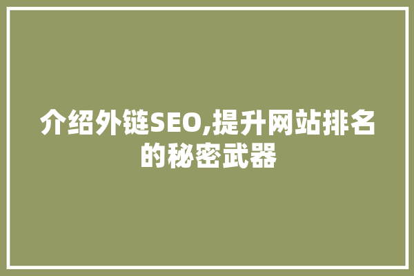 介绍外链SEO,提升网站排名的秘密武器