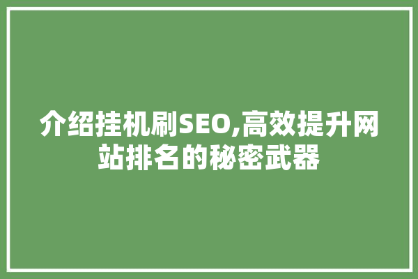 介绍挂机刷SEO,高效提升网站排名的秘密武器