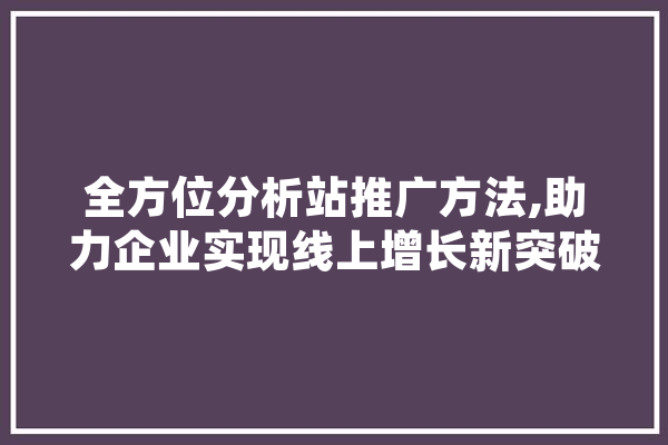全方位分析站推广方法,助力企业实现线上增长新突破