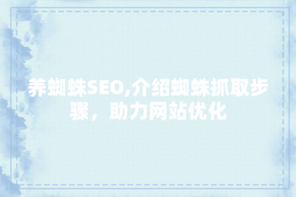 养蜘蛛SEO,介绍蜘蛛抓取步骤，助力网站优化