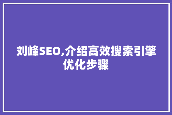 刘峰SEO,介绍高效搜索引擎优化步骤 AI快讯