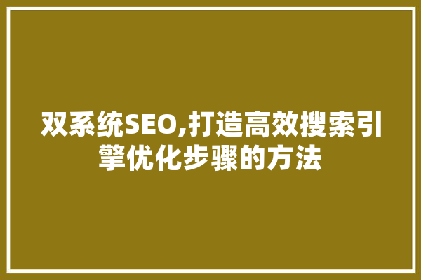双系统SEO,打造高效搜索引擎优化步骤的方法 绘影字幕