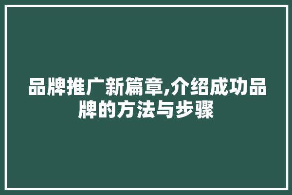 品牌推广新篇章,介绍成功品牌的方法与步骤
