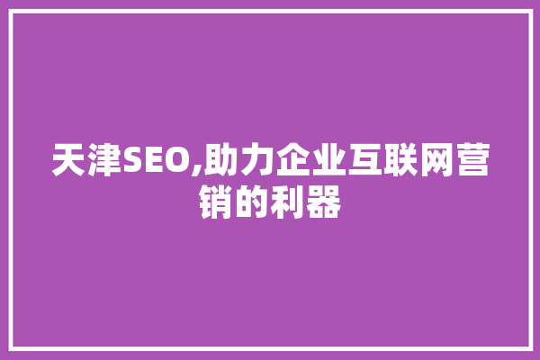 天津SEO,助力企业互联网营销的利器