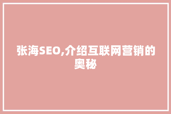 张海SEO,介绍互联网营销的奥秘