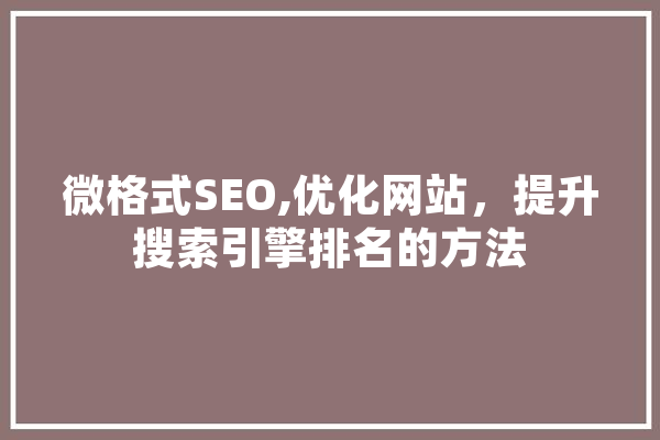 微格式SEO,优化网站，提升搜索引擎排名的方法