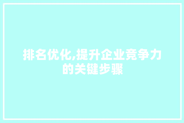 排名优化,提升企业竞争力的关键步骤