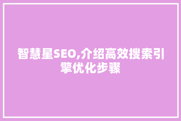 智慧星SEO,介绍高效搜索引擎优化步骤
