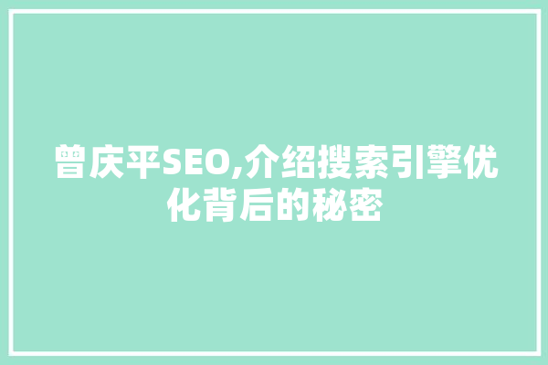 曾庆平SEO,介绍搜索引擎优化背后的秘密