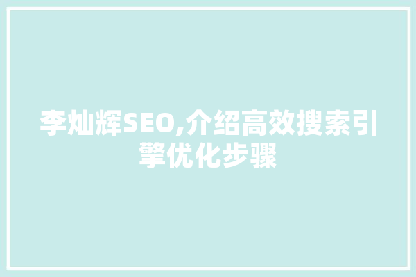 李灿辉SEO,介绍高效搜索引擎优化步骤