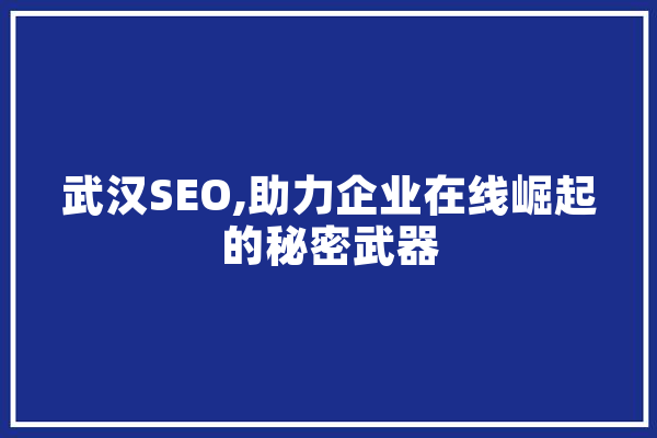 武汉SEO,助力企业在线崛起的秘密武器