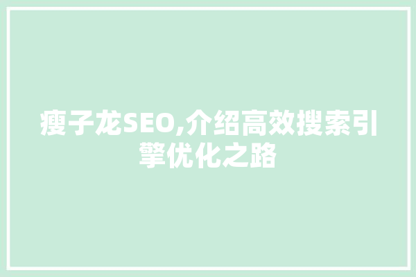 瘦子龙SEO,介绍高效搜索引擎优化之路 智能写作