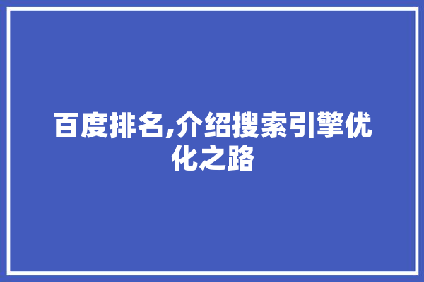 百度排名,介绍搜索引擎优化之路