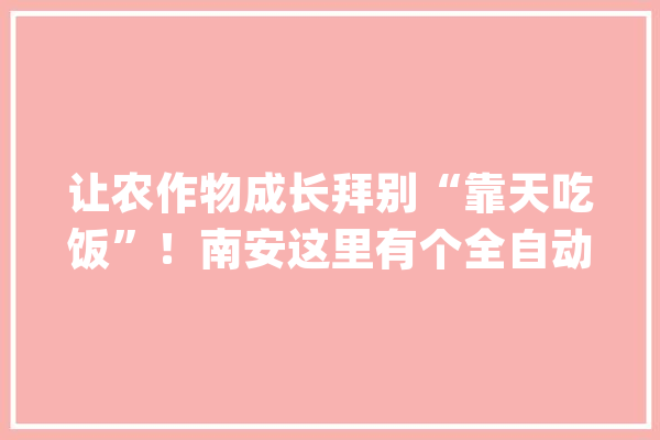 让农作物成长拜别“靠天吃饭”！南安这里有个全自动聪慧大年夜棚_年夜棚_南安市
