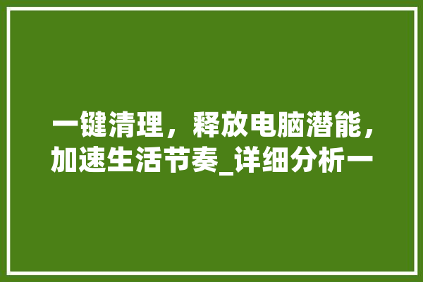 一键清理，释放电脑潜能，加速生活节奏_详细分析一键清理加速的奥秘