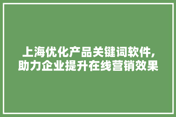 上海优化产品关键词软件,助力企业提升在线营销效果