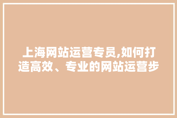 上海网站运营专员,如何打造高效、专业的网站运营步骤