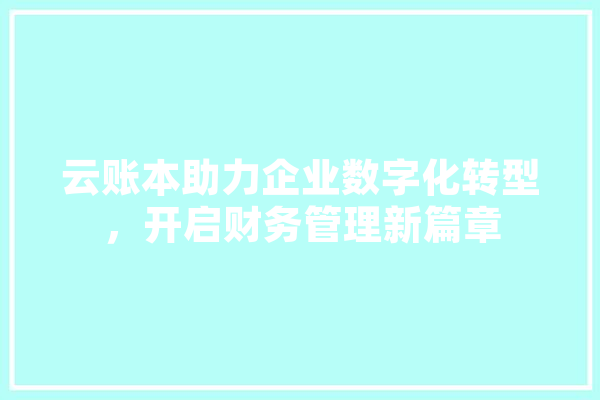 云账本助力企业数字化转型，开启财务管理新篇章 云服务