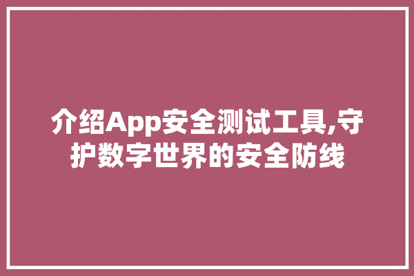 介绍App安全测试工具,守护数字世界的安全防线