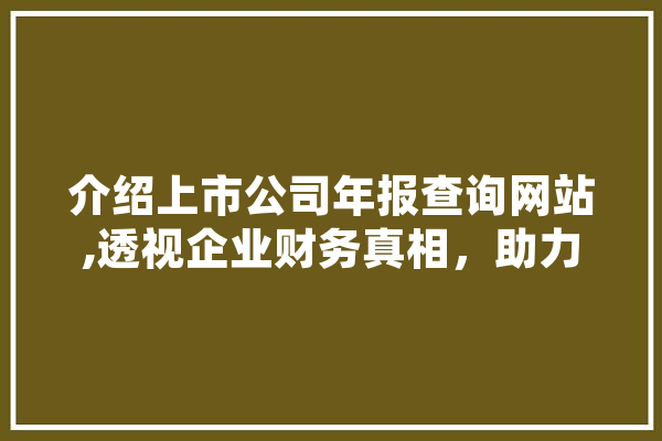 介绍上市公司年报查询网站,透视企业财务真相，助力投资者明智决策