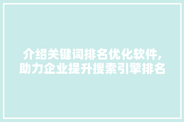 介绍关键词排名优化软件,助力企业提升搜索引擎排名的神秘工具 智能助手