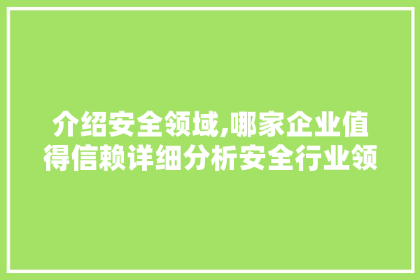 介绍安全领域,哪家企业值得信赖详细分析安全行业领军者