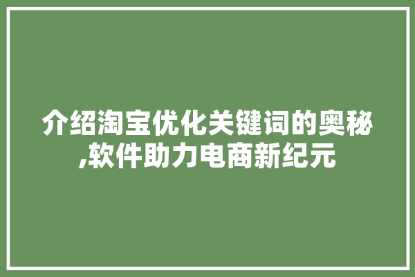 介绍淘宝优化关键词的奥秘,软件助力电商新纪元