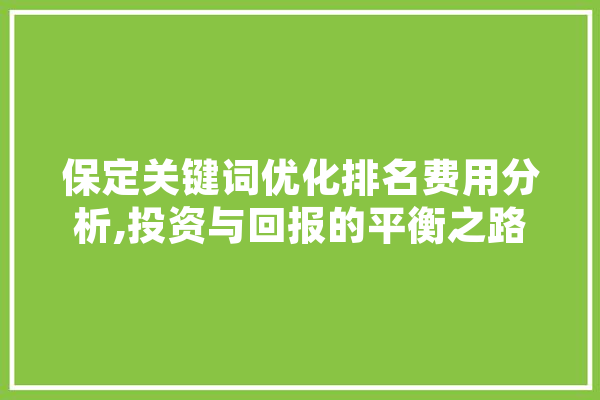 保定关键词优化排名费用分析,投资与回报的平衡之路