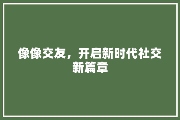 像像交友，开启新时代社交新篇章