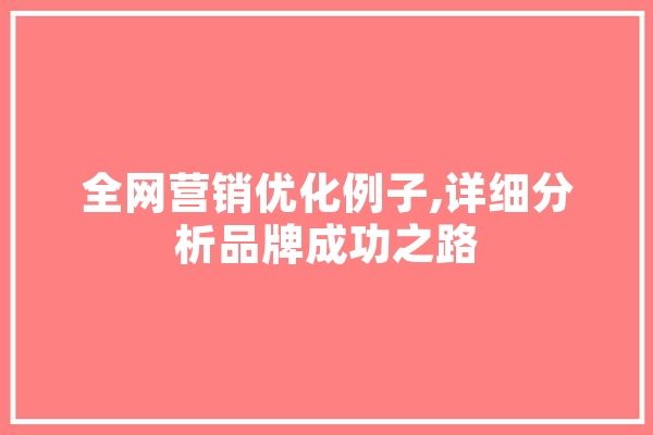 全网营销优化例子,详细分析品牌成功之路