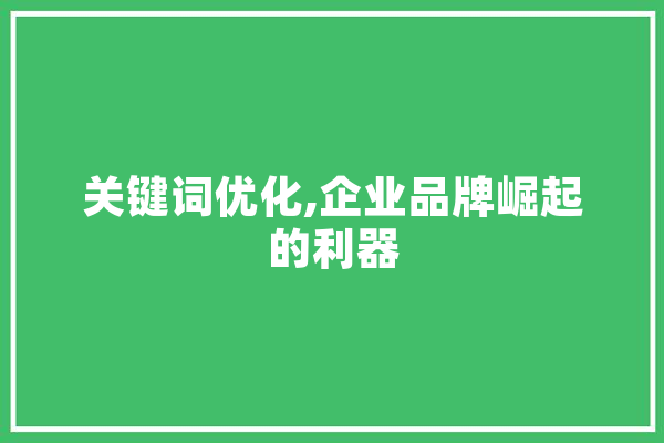 关键词优化,企业品牌崛起的利器 AI快讯